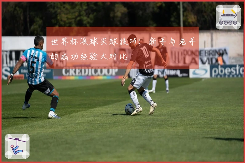 世界杯滚球买球技巧：新手与老手的成功经验大对比