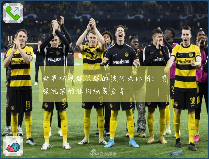 世界杯滚球买球的技巧大比拼：资深玩家的独门秘笈分享