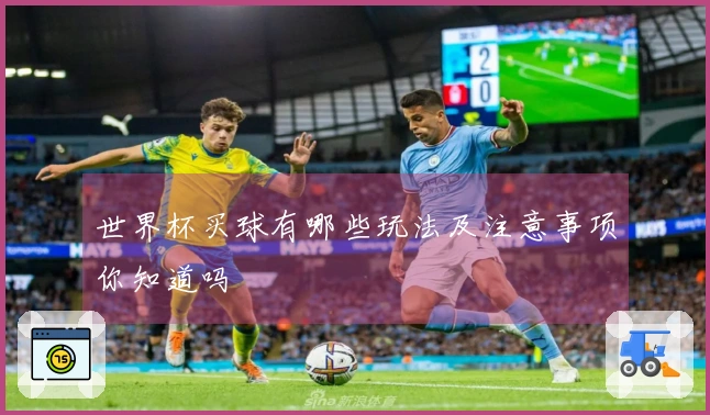世界杯买球有哪些玩法及注意事项你知道吗