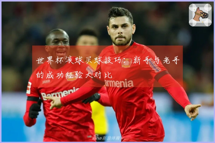 世界杯滚球买球技巧：新手与老手的成功经验大对比