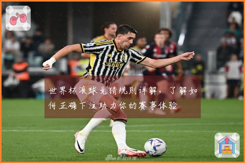 世界杯滚球竞猜规则详解，了解如何正确下注助力你的赛事体验