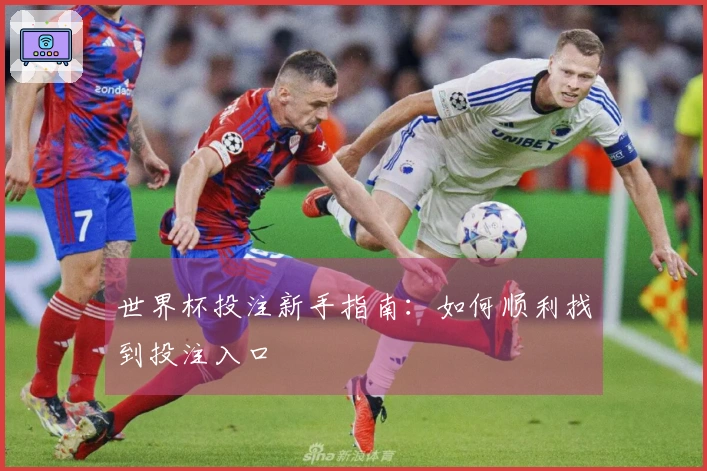 世界杯投注新手指南：如何顺利找到投注入口