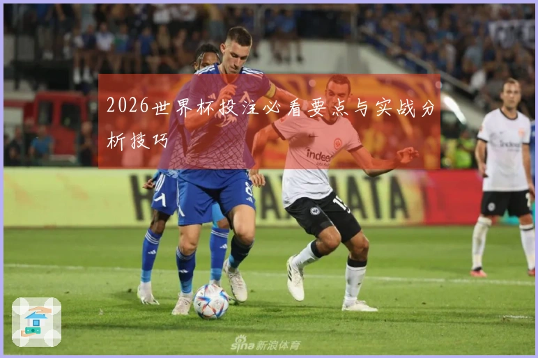 2026世界杯投注必看要点与实战分析技巧