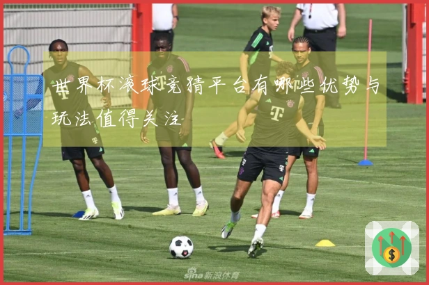 世界杯滚球竞猜平台有哪些优势与玩法值得关注
